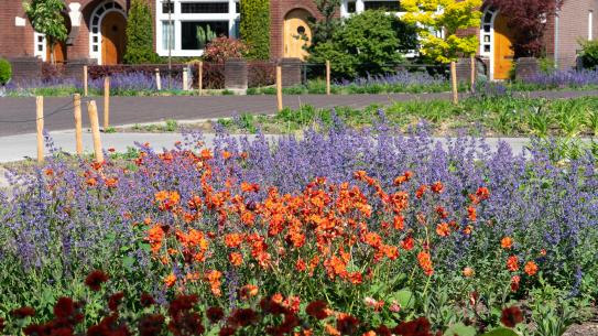 Klik voor een vergroting