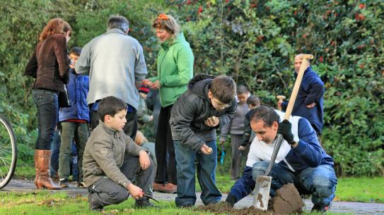 Klik voor een vergroting