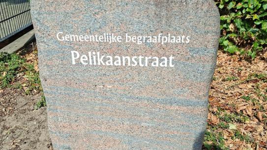 Steen Pelikaanstraat, klik voor een vergroting