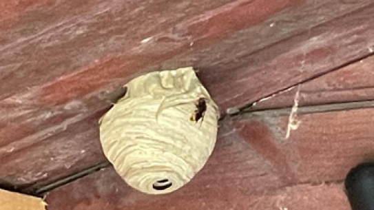 Klik voor een vergroting