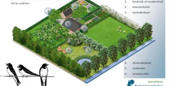 Plattegrond van een erf met daarop de mogelijkheden voor bepaalde diersoorten om een natuurvriendelijk erf in te richten: de houtmijt of musterdmijt, een insectenhotel, een kerkuilenkast, een steenuilenkast, zwaluwen en muizenruiter.