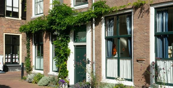Huis met een geveltuintje, met groen langs de stoep en de muren