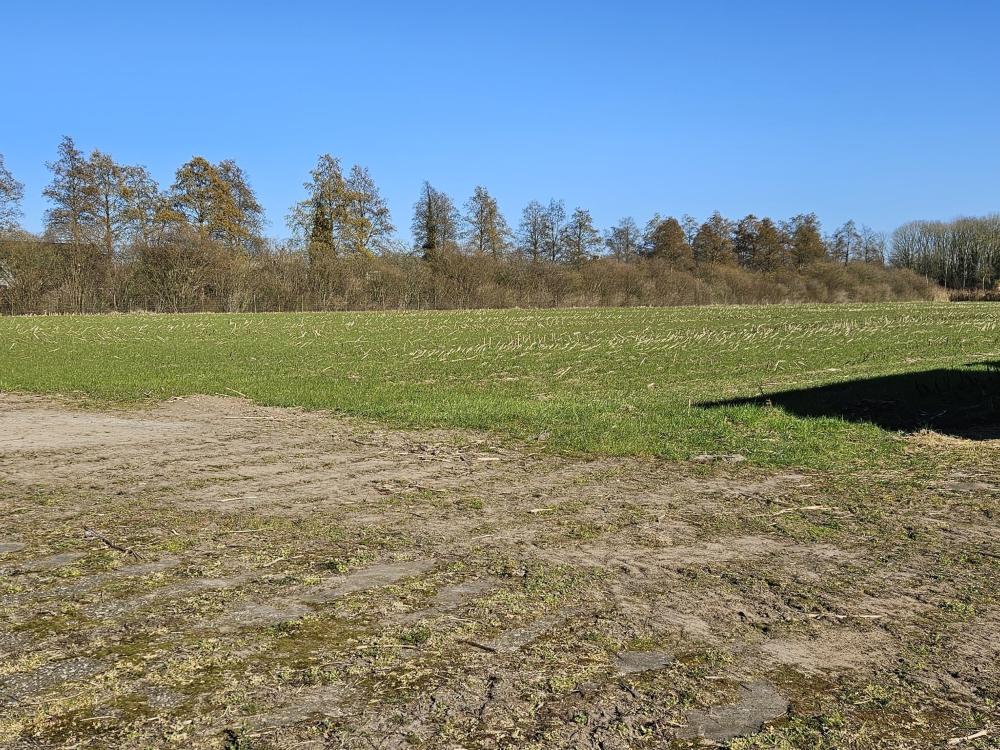 Ook avondspreekuur over stopzetten azc Runweg